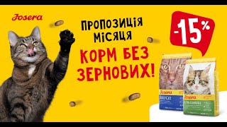 Пропозиція місяця -15% на Josera Kitten Grainfree та DailyCat