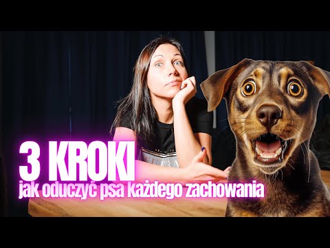 3 kroki jak ODUCZYĆ psa KAŻDEGO zachowania