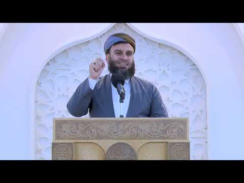 مافی مردوو له‌سه‌ر زیندوو