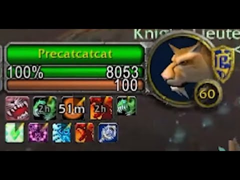 Double World Buffs Bug in Naxxramas?! CRAZY BM Hunter DPS
