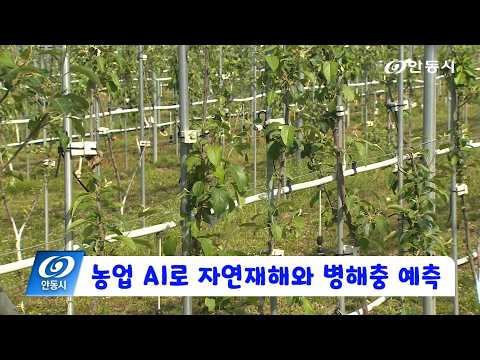 [안동 현장 리포트] 6월 10일, 농업 AI로 자연재해와 병해충 예측