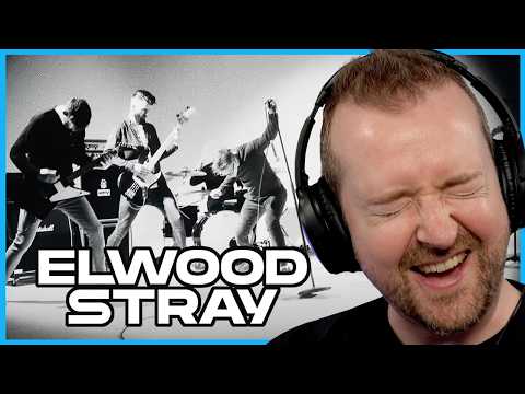 BEST metalcore song I've heard in MONTHS!