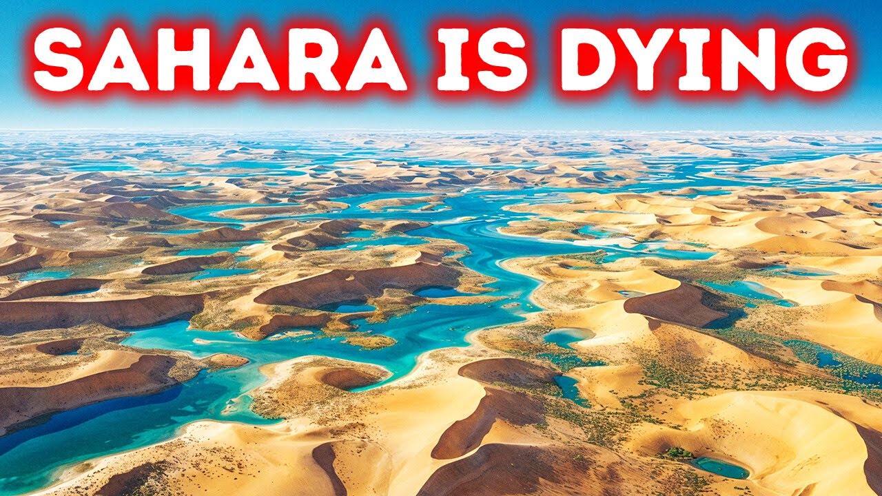 Something Strange Is Happening in the Sahara - And It’s Not Good