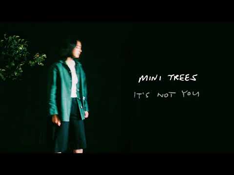 Mini Trees - "It's Not You" (Official Audio)