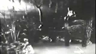 Pat Boone - Moody River