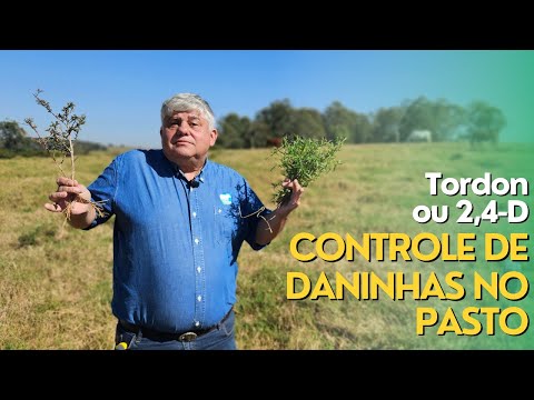 QUAL HERBICIDA Usar Para CONTROLE de PLANTAS DANINHAS No PASTO? Ep#181