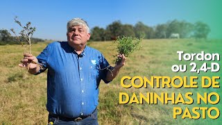 WHICH HERBICIDE TO USE FOR WEED CONTROL IN THE PASTURE? Ep#181