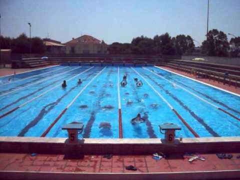 COGESE_Flying Dolphin_Delfino Volante 2_ doc.MOV