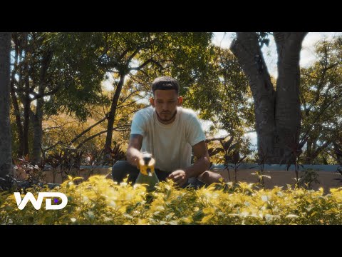 Zelcok Kp, Cainclue ii, Ty Rose - YO SE LA WELI