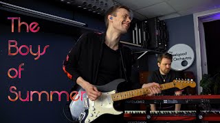 The Boys of Summer - Don Henley cover