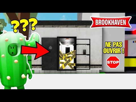 CACTUS CAN'T OPEN THIS DOOR BECAUSE...! ROBLOX - BROOKHAVEN RP