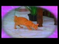Promo Istimewa Jom Relaks Cuti Sekolah Bulan Mac Tv3 12 15 3 2012
