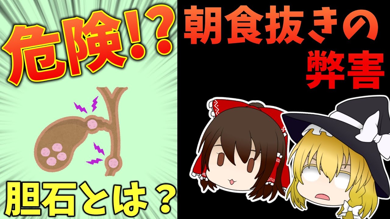 【ゆっくり解説】食事を抜くと胆石ができる？胆石の原因とは？