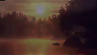 Deep Forest : Yuki Song - 10/2018