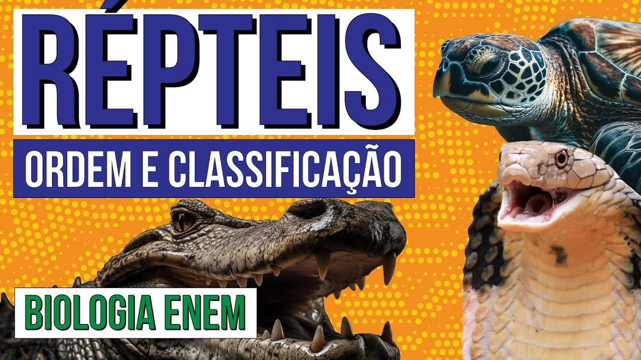 RÉPTEIS: ordem e classificação | Biologia para o Enem | Cláudia de Souza Aguiar