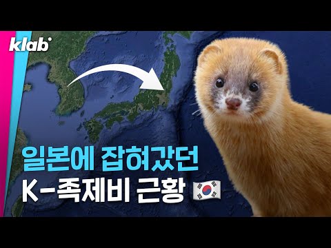 아이콘