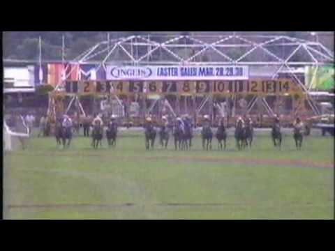1989 Rosehill Guineas - Riverina Charm