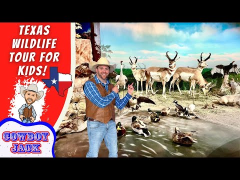 Promotional thumbnail for a Texas wildlife tour for kids, showing a cowboy presenter with many birds behind him.