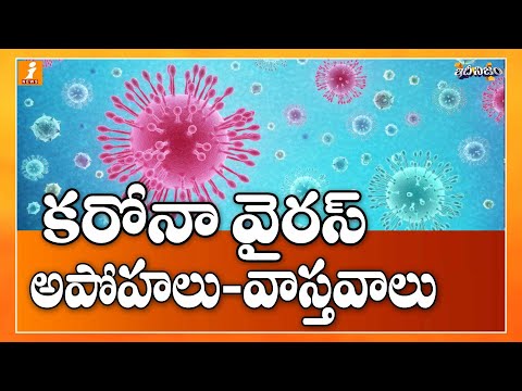 CORONAVIRUS SYMPTOMS IN TELUGU – hulazuwin