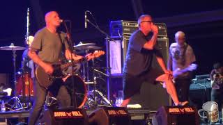 Descendents - On paper · Barna and Roll 2018