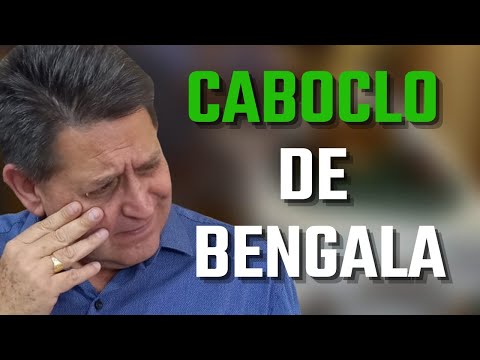 PTD nº 614 - Meu caboclo não brada e pediu bengala
