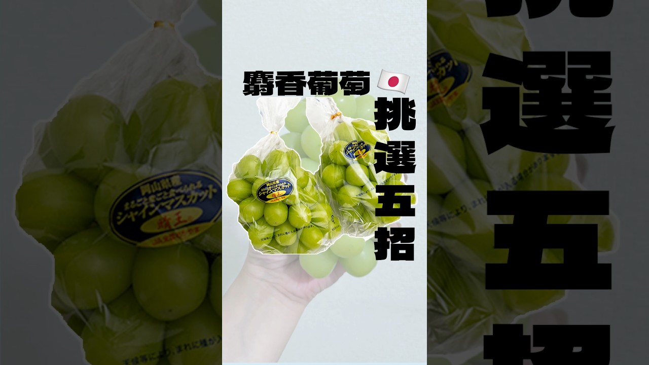 麝香葡萄怎麼挑選?! #麝香葡萄 #日本超市好物 #日本水果