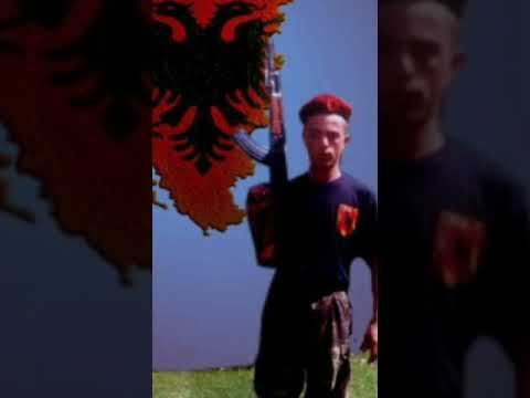 Kenga e Shaq Stublles !!