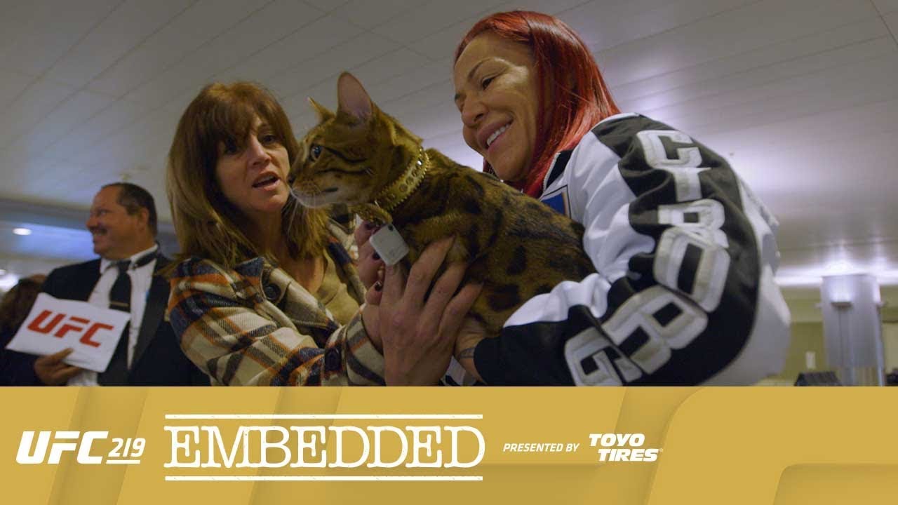 UFC 219 Embedded: Vlog Series - Episode 3