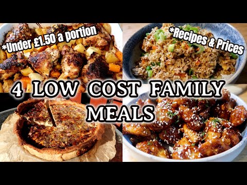 BUDGET FAMILY DINNER IDEAS ~ Feed 4 hungry adults or save the leftovers!!