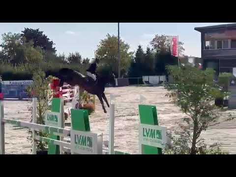 wkd little gem show video1