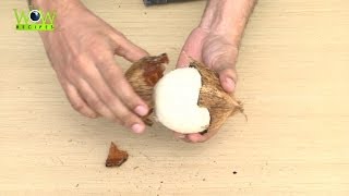 Easiest way to Remove Coconut Flesh From Shell With in 30 Seconds | Best Kitchen Tips | Wow Recipes