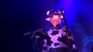 The Residents Tourniquet Of Roses