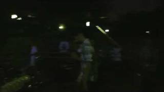 Does the lion city still roar? - SKARAMUZA (versión: Less than jake)