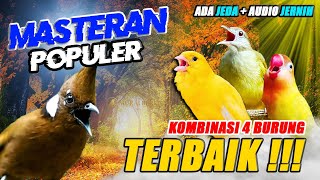 Download lagu #6 MASTERAN MURAI BATU KOMBINASI 4 ISIAN TEMBAKAN TERBAIK! Untuk Burung Fighter mp3 Download lagu #6 MASTERAN MURAI BATU KOMBINASI 4 ISIAN TEMBAKAN TERBAIK! Untuk Burung Fighter mp3