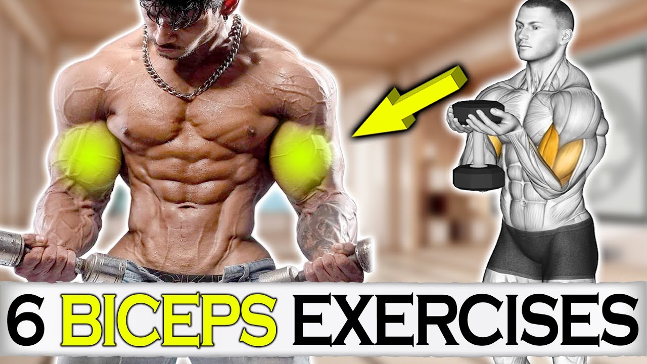 Get big biceps with 6 effective exercises