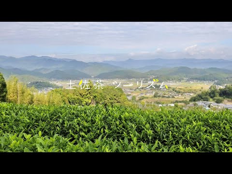 NIYODO BLUE！土佐茶ツーリズム
