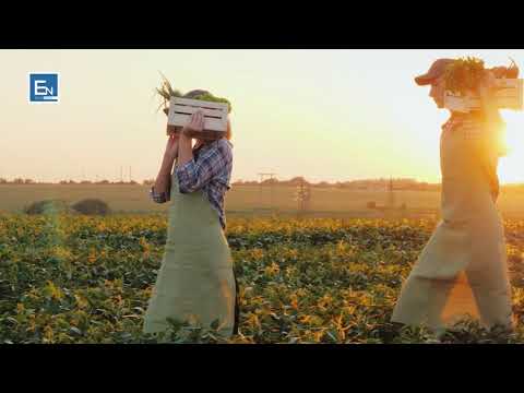 Sekretet e Kur'anit! Ndergjegjia e njeriut!