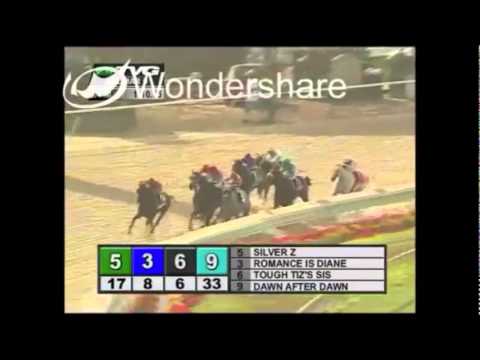 Zenyatta- All her 20 races