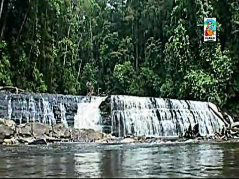Introduction to Sabah, Malaysian Borneo