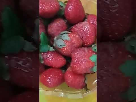 Staberry | Session ka first fruits🍓