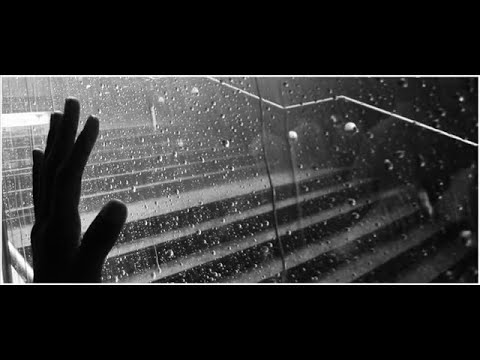 La sociedad - Junto a la lluvia