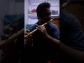Aarti Kunj Bihari Ki Shree Girdhar Krishna Murari Ki On Flute