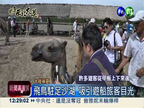 寧夏沙湖特殊景觀 重現江南美景!