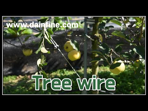 Dain Industry Inc. New Tree Wire
