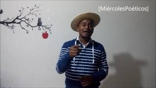 Décima Los Mangos Bajitos - Miércoles 11-05-2016 1x11