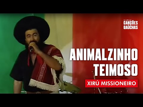 ANIMALZINHO TEIMOSO -  XIRÚ MISSIONEIRO (VIDEOCLIPE OFICIAL - CLIPE DVD) | MÚSICA GAÚCHA