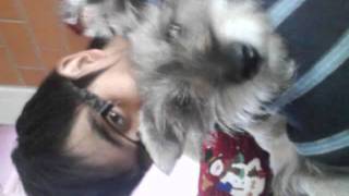 Hyadain - Mi primer amigo  español