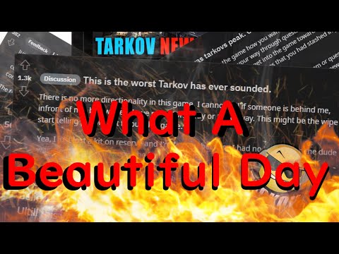 What A Beautiful Day in the Tarkov Community