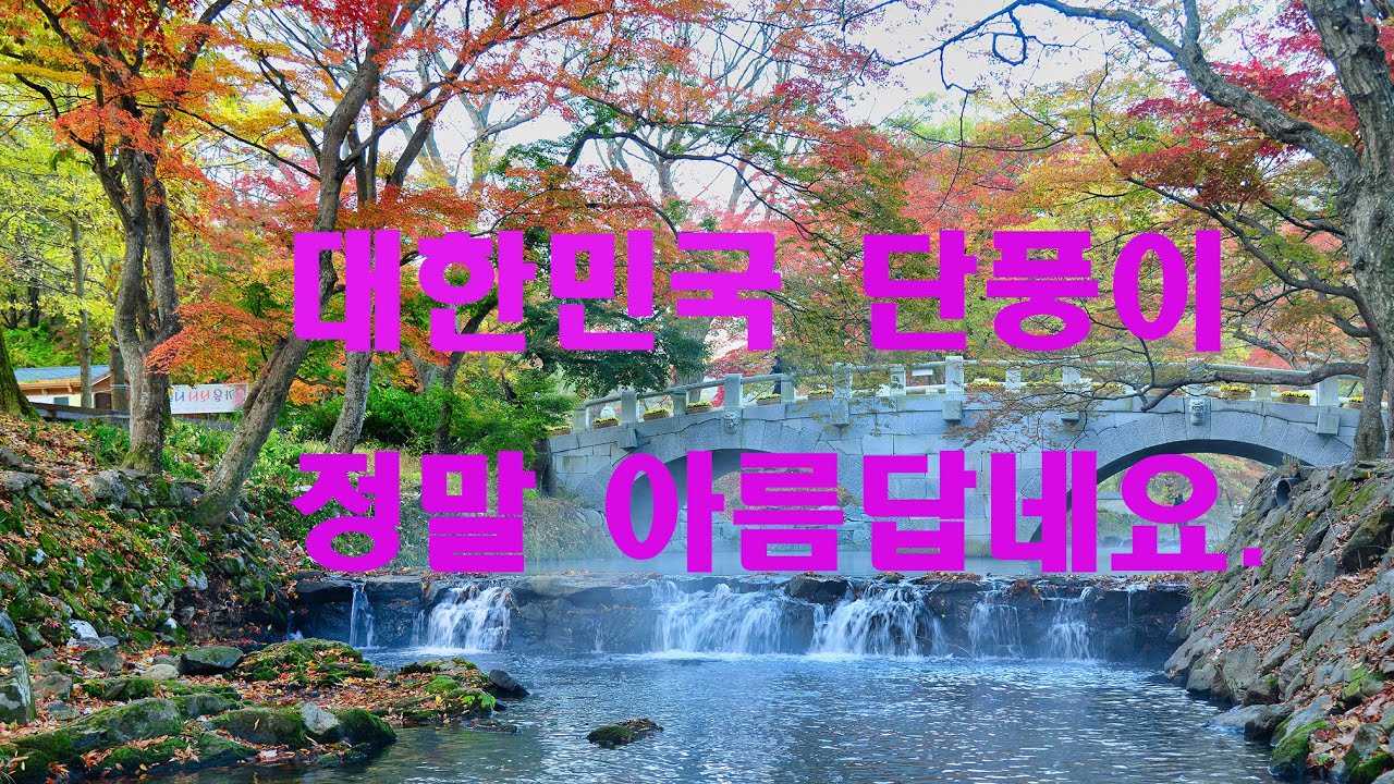 아름다운 한국의 단풍 유튜브 썸네일