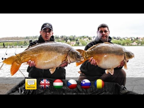 Carp Fishing with the SBS Team Romania